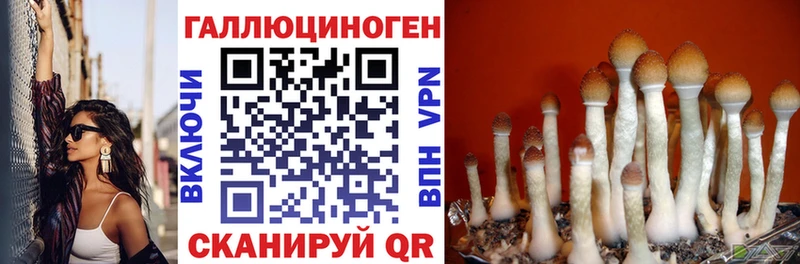 Купить закладки  Баймак  Галлюциногенные грибы GOLDEN TEACHER 